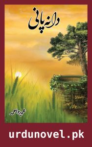 Urdu Novels 27 Dana Pani Novel By Umera Ahmed
