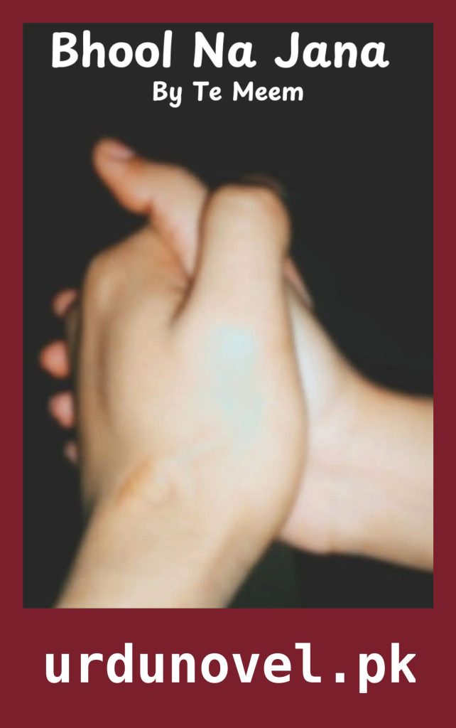 Bhool Na Jana Novel By Te Meem 1 Bhool Na Jana Novel By Te Meem