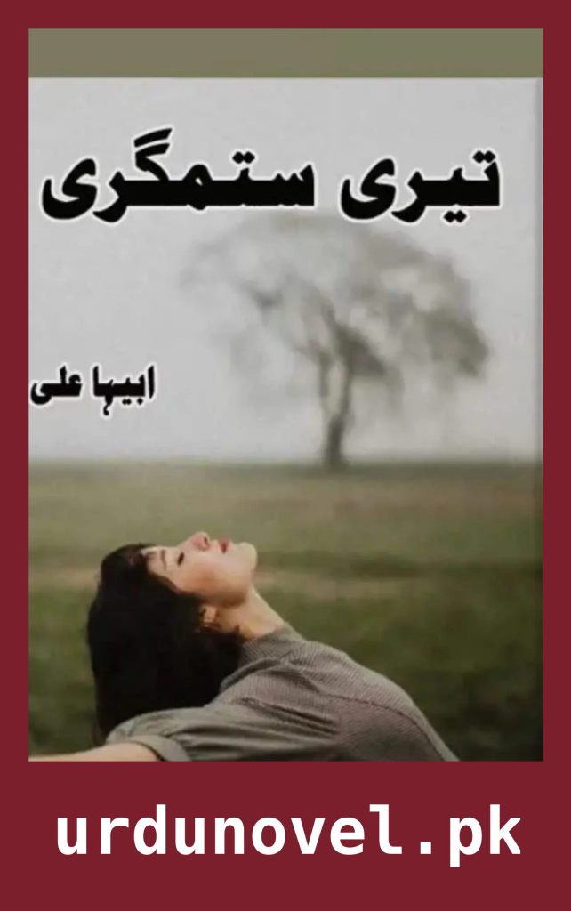 Teri Sitamgari Novel By Abeeha Ali 1 Teri Sitamgari Novel By Abeeha Ali