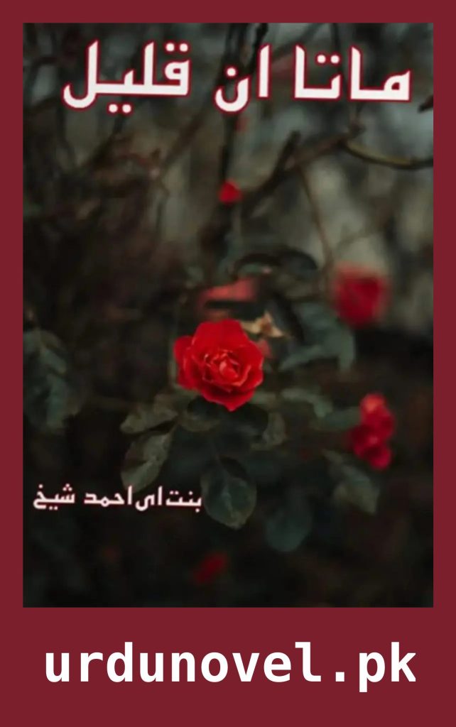 Mata Un Qaleel Novel By Bint E Ahmed 1 Mata Un Qaleel Novel By Bint E Ahmed