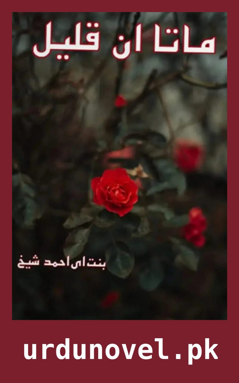 Mata Un Qaleel Novel By Bint E Ahmed