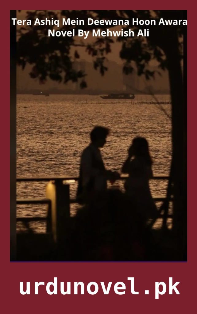 Tera Ashiq Mein Deewana Hoon Awara Novel By Mehwish Ali 1 Tera Ashiq Mein Deewana Hoon Awara Novel By Mehwish Ali