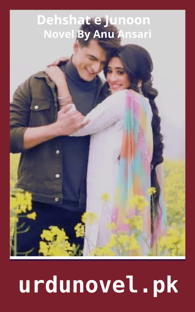 Dehshat e Junoon Novel By Anu Ansari 1 Dehshat e Junoon Novel By Anu Ansari
