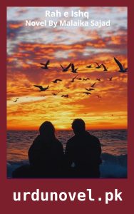 Urdu Novels 52 Rah e Ishq Novel By Malaika Sajad