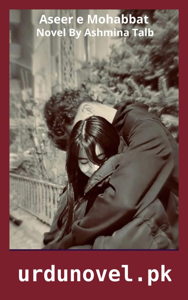 Aseer e Mohabbat Novel By Ashmina Talb 1 Aseer e Mohabbat Novel By Ashmina Talb