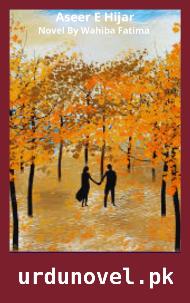 Aseer E Hijar Novel By Wahiba Fatima 1 Aseer E Hijar Novel By Wahiba Fatima
