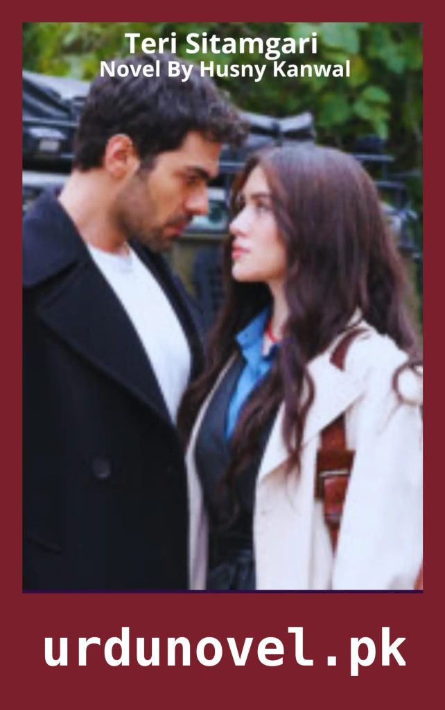 Teri Sitamgari Novel By Husny Kanwal 1 Teri Sitamgari Novel By Husny Kanwal